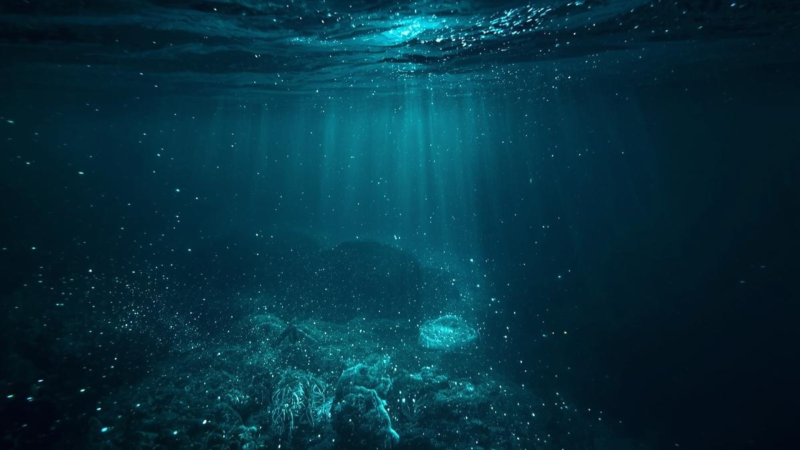 Norway’s 2026 Quota Reset Who Wins, Who Loses, and What It Means for Vessel Demand